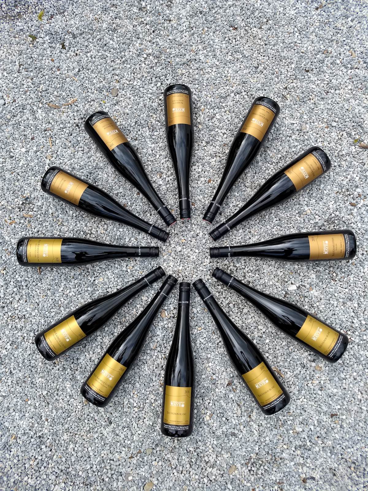 12 Flaschen Wein vom Vorspannhof Mayr